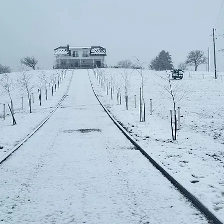 Вилла Hojnik Videm pri Ptuju