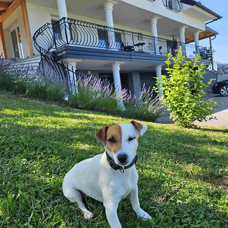 Villa Hojnik Videm pri Ptuju