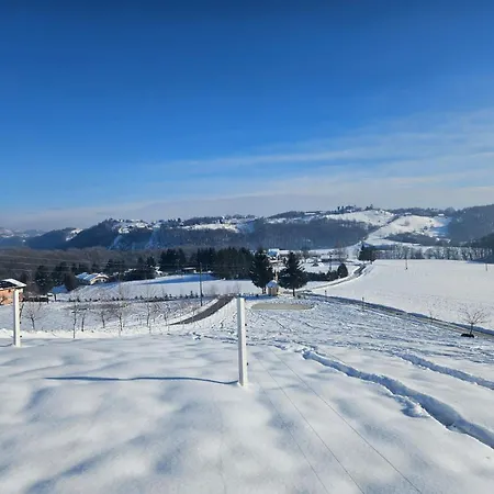 Hojnik Vila Videm pri Ptuju