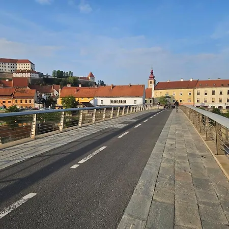 Hojnik Вилла Videm pri Ptuju