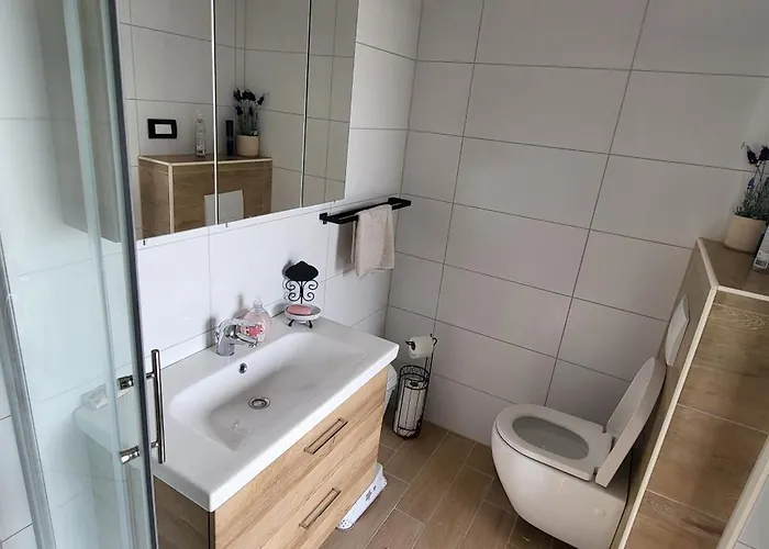 Hojnik Vila Videm pri Ptuju