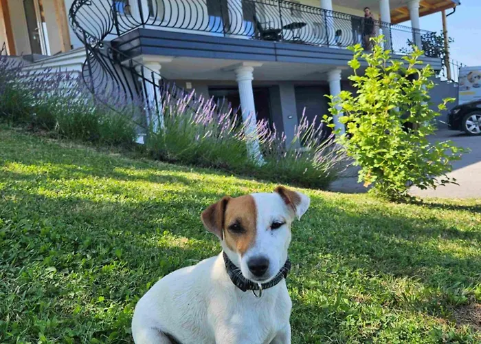 Vila Hojnik Videm pri Ptuju