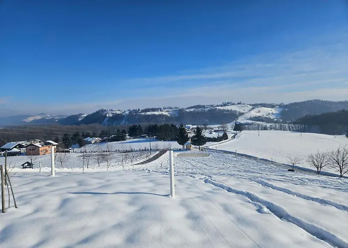 Hojnik Vila Videm pri Ptuju